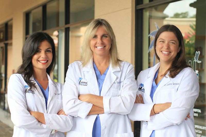 Animal Oasis Veterinary Hospital