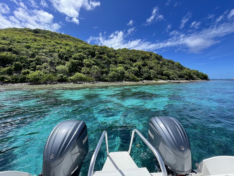 Sunshine Daydream Boat Charters photo