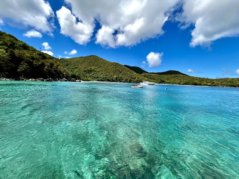 Sunshine Daydream Boat Charters photo
