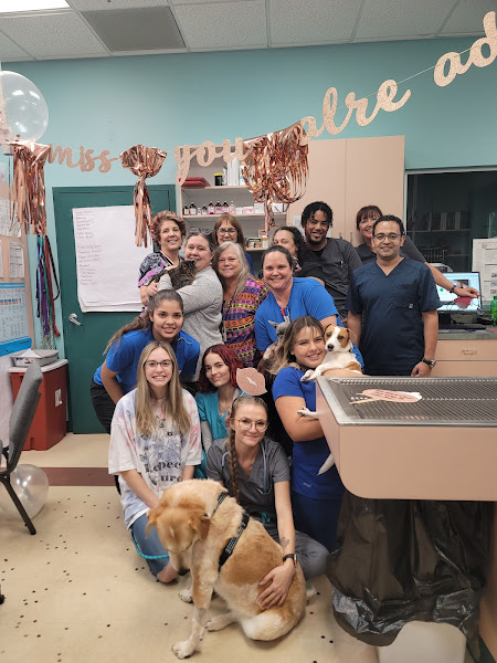 Circle of Life Animal Hospital - Veterinarian in Tampa