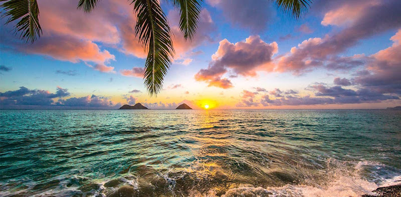 Farshin Farokhian, DDS