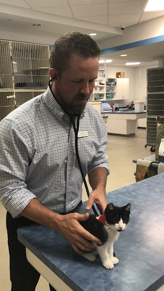 North Naples Veterinary Hospital