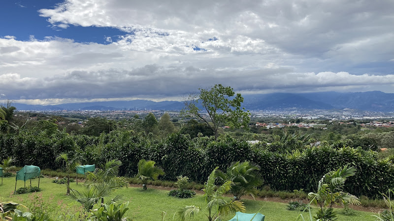 Costa Rica Meadery - Winery in Calle Zetillal 800 mts norte de la "Y" griega de Rosales