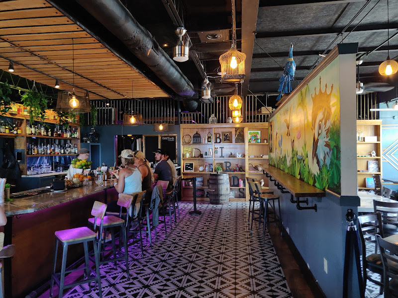 Odd Birds Cocktail Lounge and Kitchen