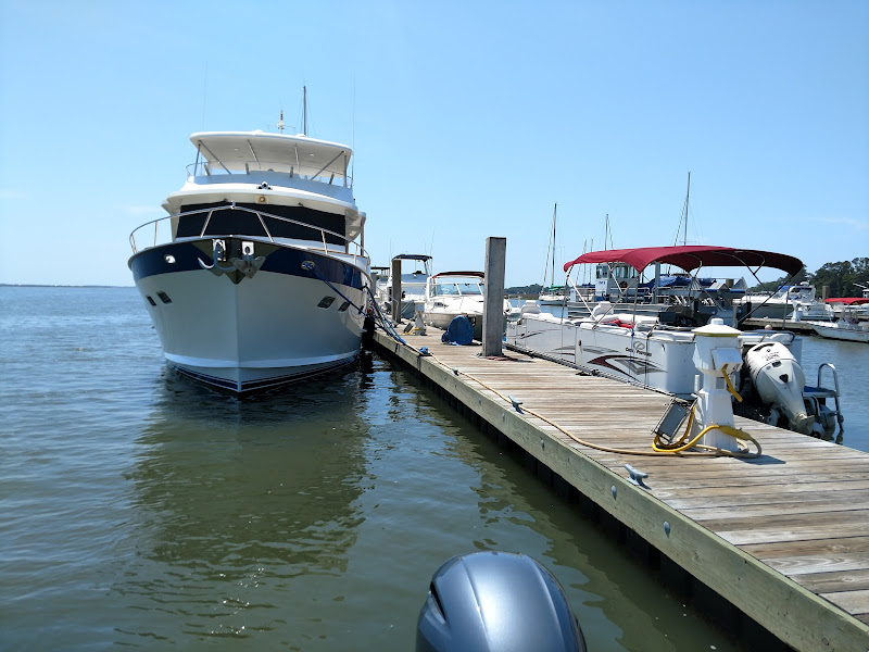 Bull River Marina - Private Charters, Fishing Charters, Bait Shop, Eco and Dolphin Tours - Boat tour agency in Savannah