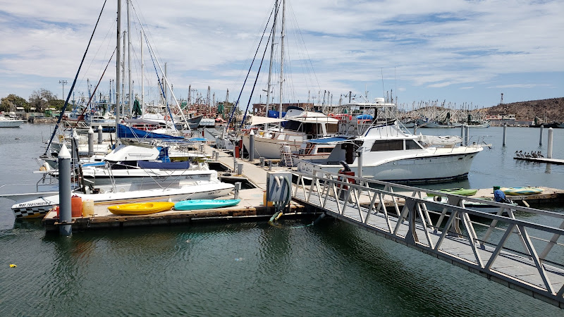 SUN MARINE - Marina in Recinto Portuario