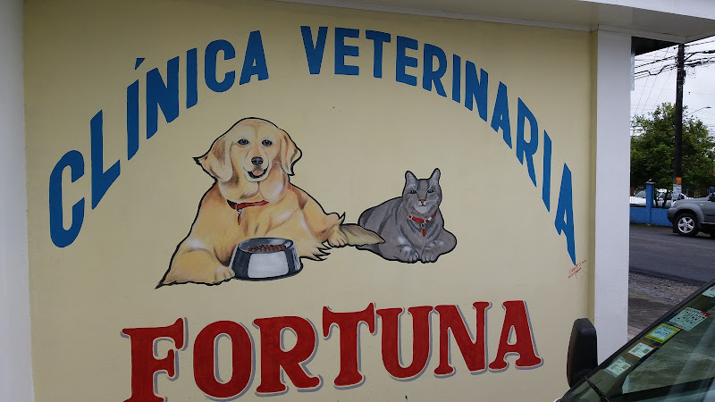 Clínica Veterinaria Fortuna - Animal hospital in Provincia de Alajuela