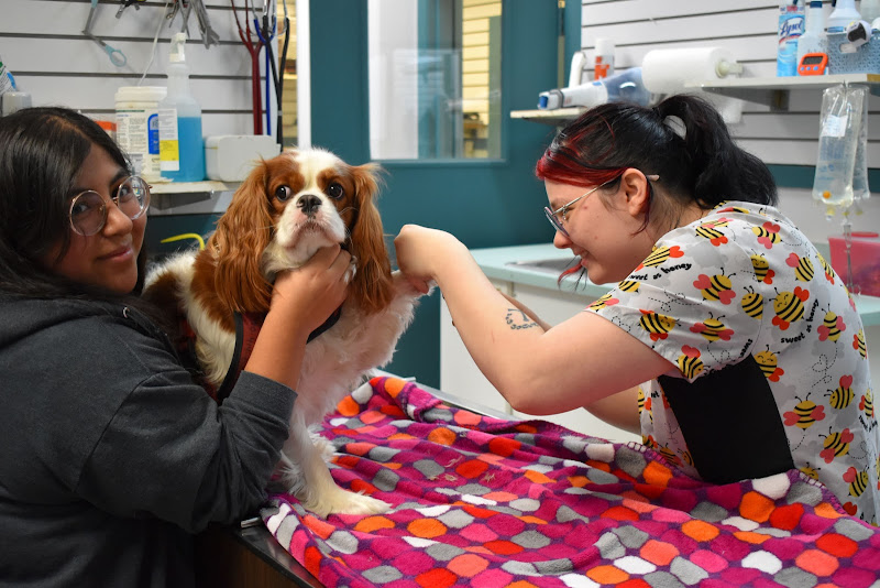 Desert Tails Animal Clinic