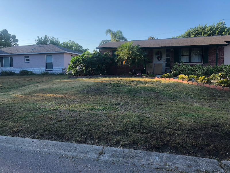 FL Five Star Lawn Care LLC - Landscaper in Clearwater