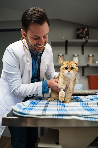 Wags Animal Hospital