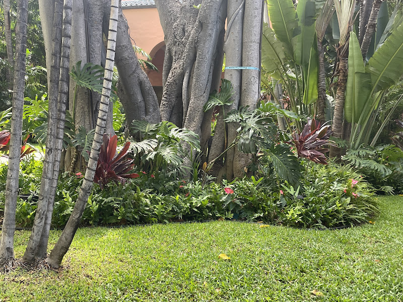 Hawaii Harmony Gardens Landscaping