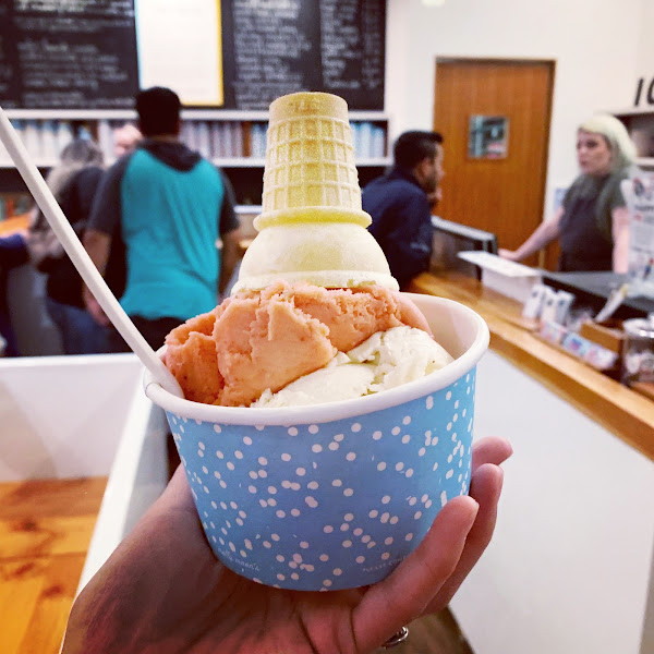 Molly Moon's Homemade Ice Cream Capitol Hill