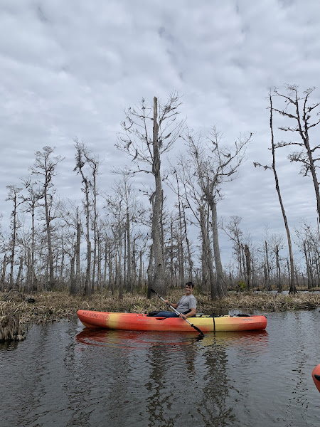 Hidden Adventure Swamp & Plantation Tours