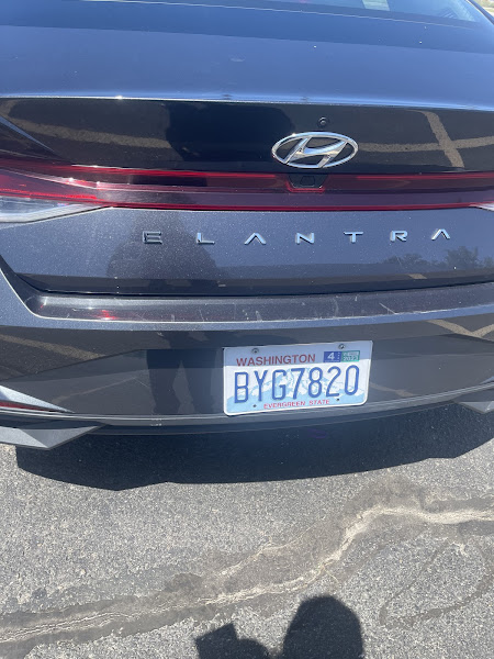 Avis Car Rental