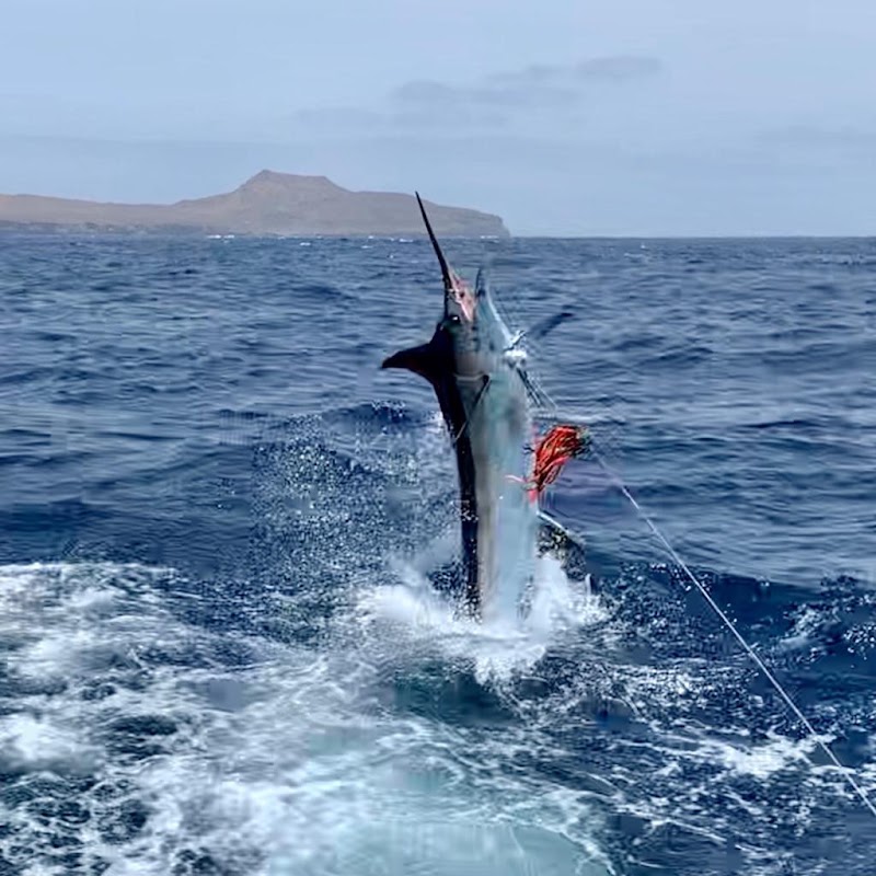 Costa Rica Fishing Report - Fishing charter in Puntarenas Province