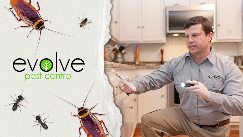 Evolve Pest Control