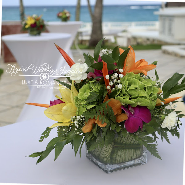 Tropical Weddings Jamaica - Wedding Planner
