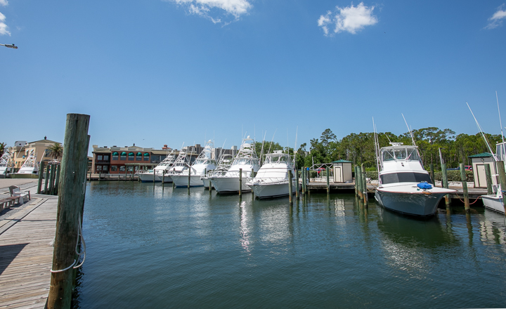 SanRoc Cay Marina - Marina - Marina in Orange Beach