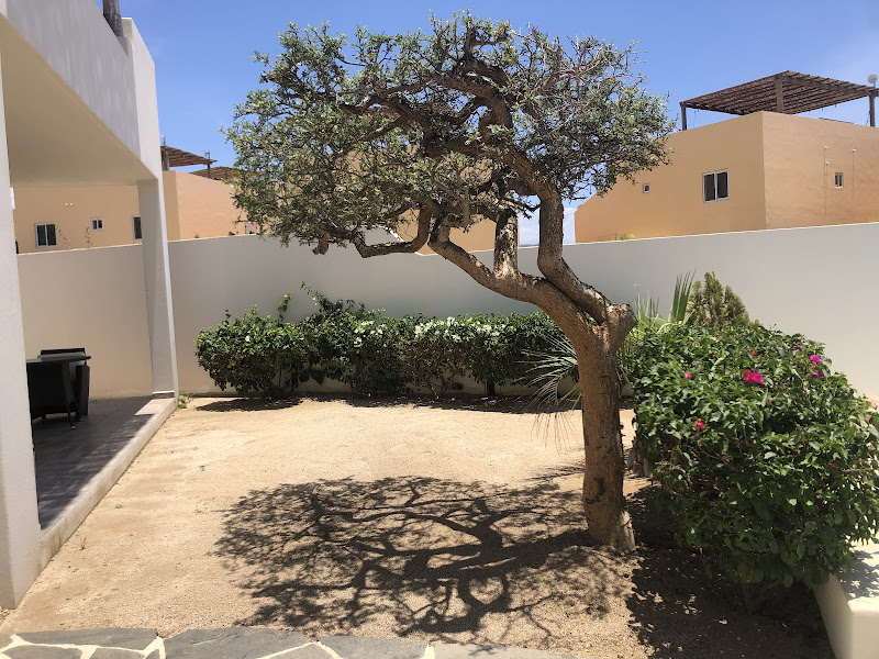SiempreVerde Landscaping - Landscaper in your area