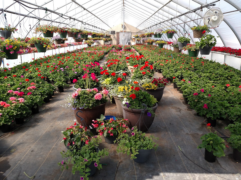 Whitefish Stage Gardens LLC - Plant nursery in Kalispell