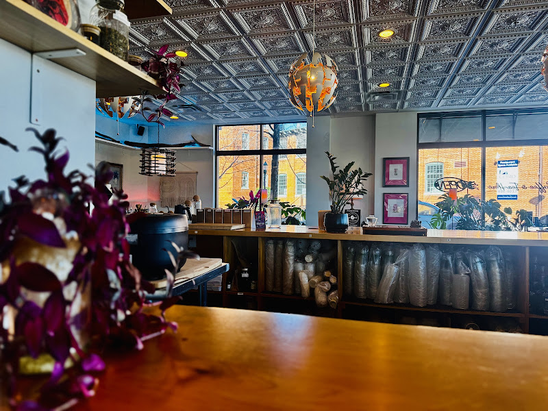 Plant Bar - Coffee shop in Chattanooga