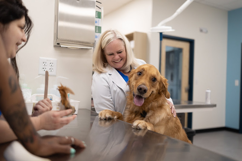 CityVet | Midtown Veterinary Clinic & Urgent Care