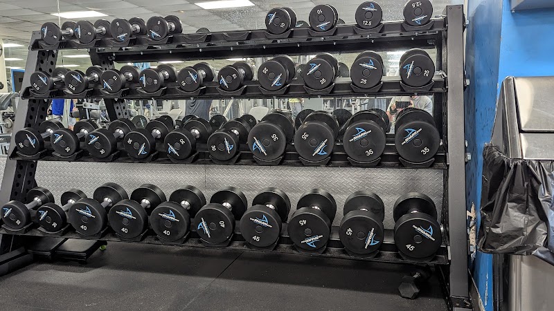 The Shark Gym photo