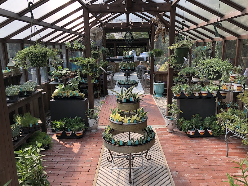 Clay Garden & Gifts LLC - Garden center in Santa Rosa Beach