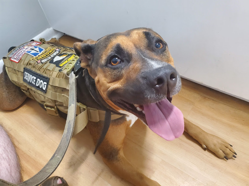 Grand Strand Animal Hospital