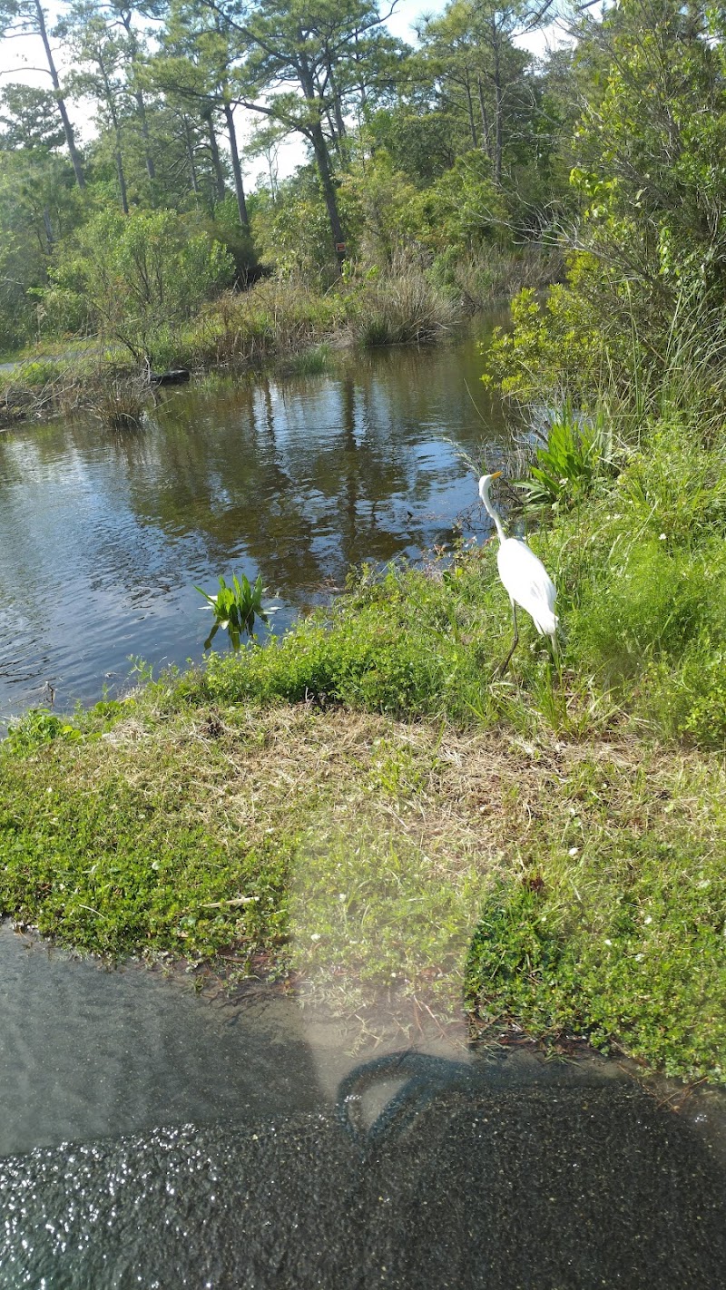 The Preserve at Kitty Hawk Woods long-term (only) RV park photo