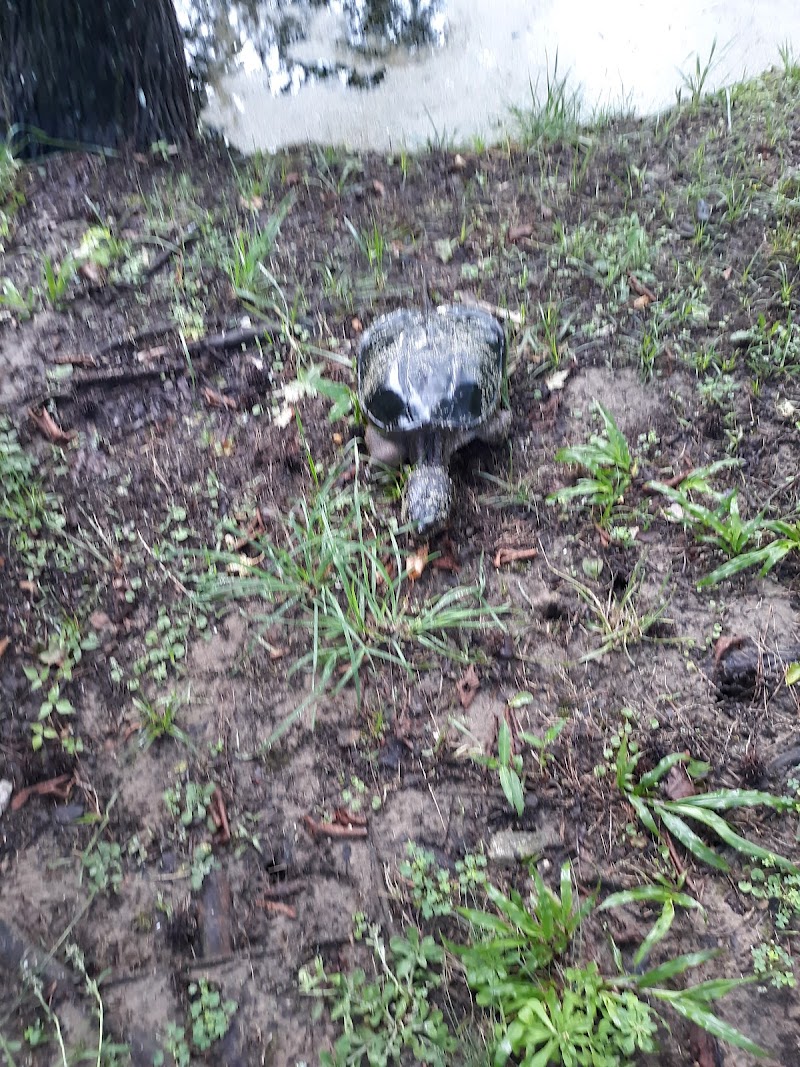 The Preserve at Kitty Hawk Woods long-term (only) RV park photo