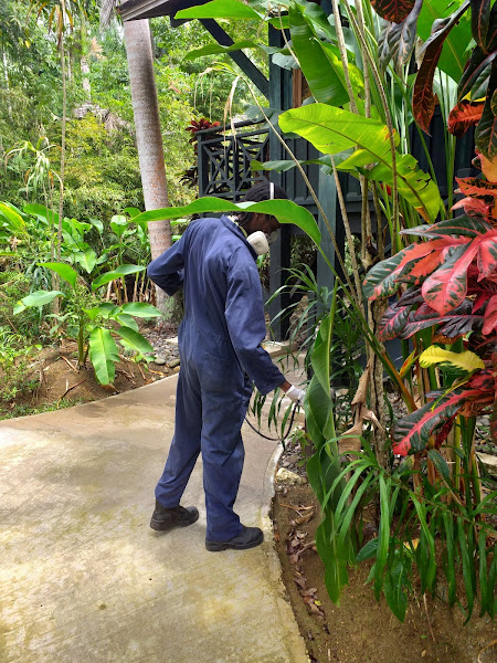 GO ALL OUT PEST CONTROL