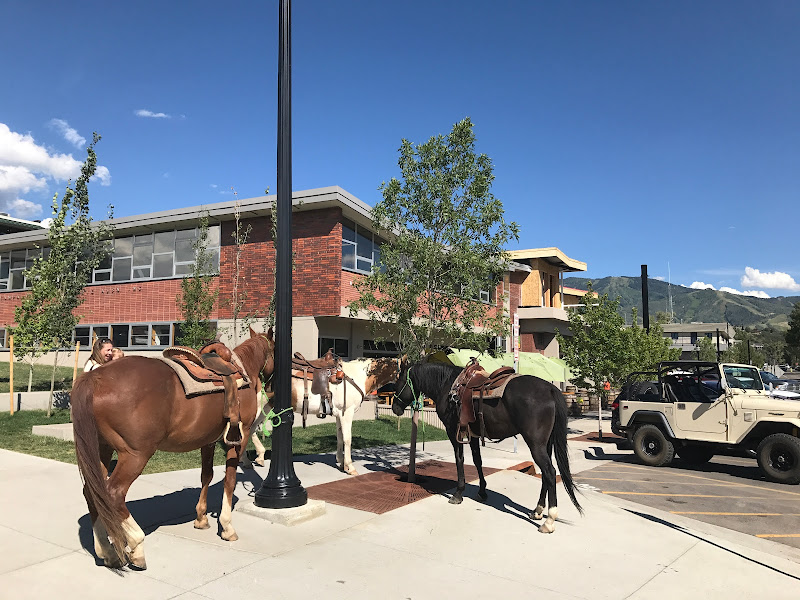 Steamboat Real Estate - The Steamboat Group