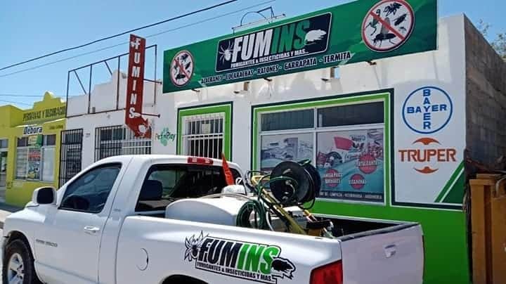 Fumins - Pest control service in Oriente