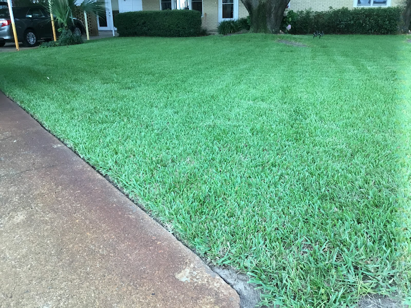 Bay's Lawn and Landscape Management