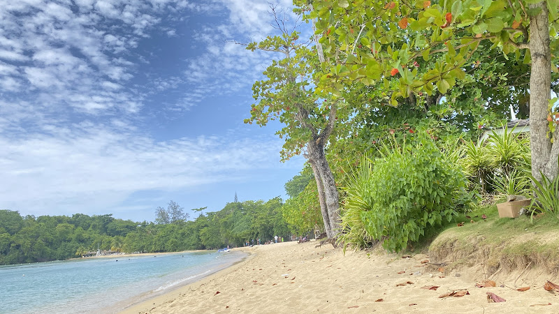 Shaw Park Beach - Tourist attraction in Ocho Rios