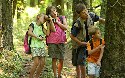 Camp Live Oak - Summer camp organizer in Fort Lauderdale