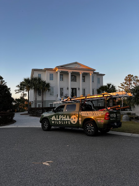 Alpha Wildlife Charleston - Pest control service in Charleston