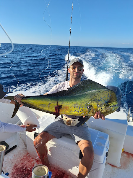 Day Trips Costa Rica - Boat tour agency in Puntarenas Province