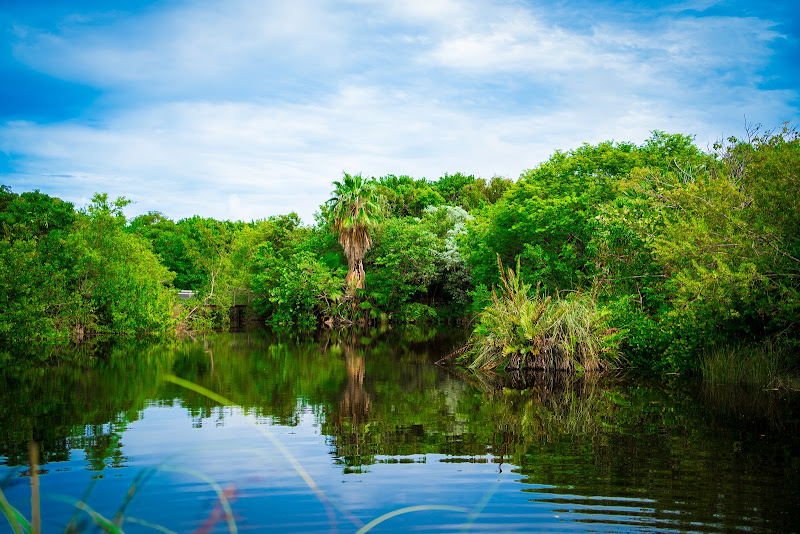 Tropical Garden Weddings & Events