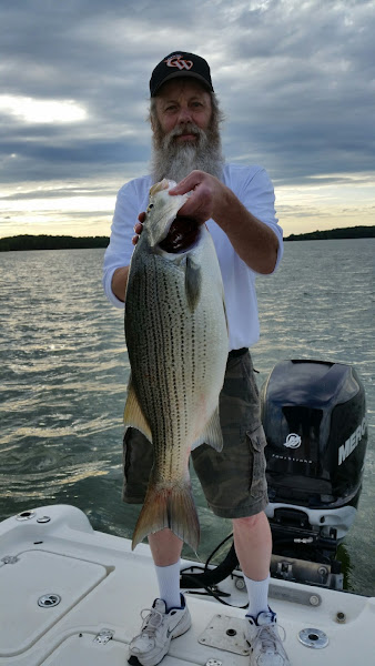 Ed Martin's Striper, Hybrid and Bass Fishing Guide