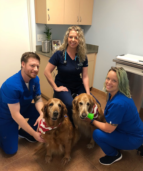 Furry Friends Veterinary Center