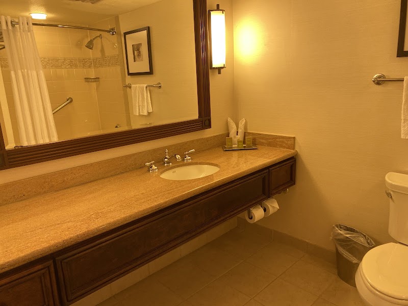 Hilton New Orleans Riverside photo