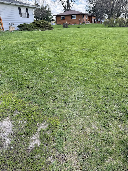KNK Landscaping Customs