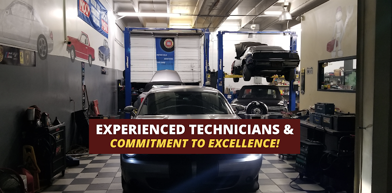 Palm Beach Performance