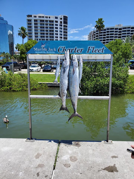 Sarasota Offshore Fishing Charters