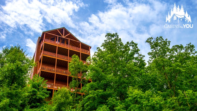 Cabins for You