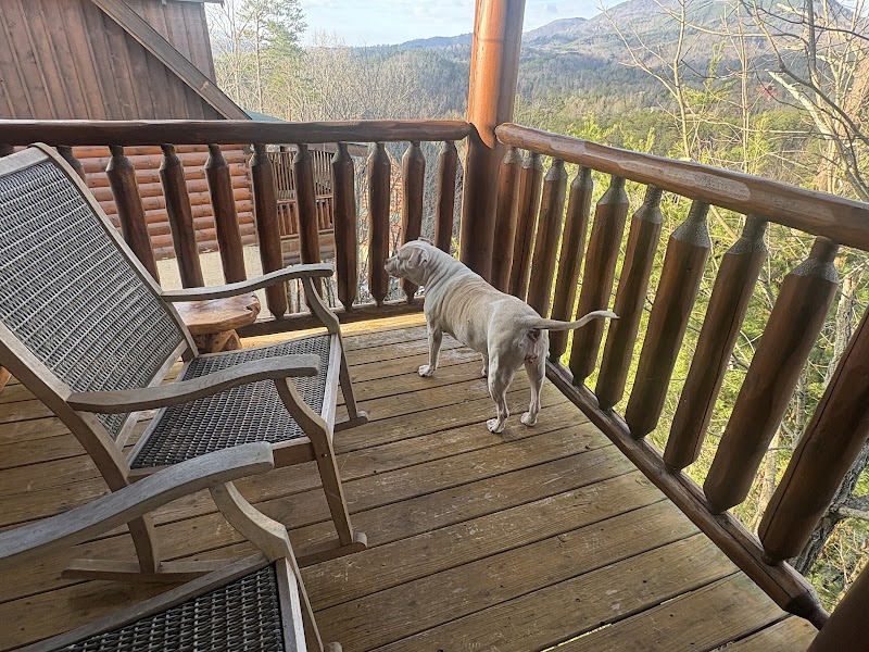 Cabins for You photo