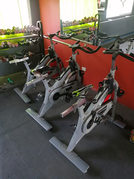 D'Alex Gym Fitness🇩🇴 - Gymnastics center in Dominican Republic