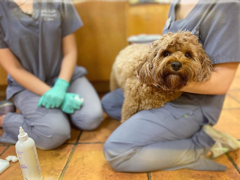 Hyde Park Veterinary Clinic